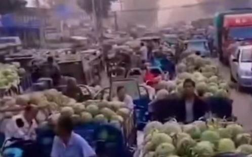 西瓜车的视频,揭秘新型智能出行工具的魅力与未来