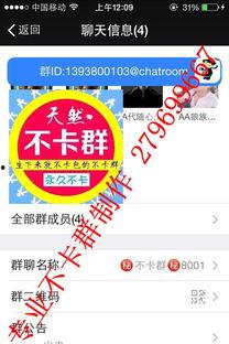 不卡群视频,探索视频新境界