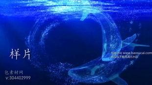 大鱼歌曲视频,探寻海洋深处的奇幻之旅