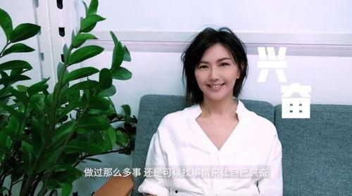 孙燕姿视频,音乐与情感的完美融合