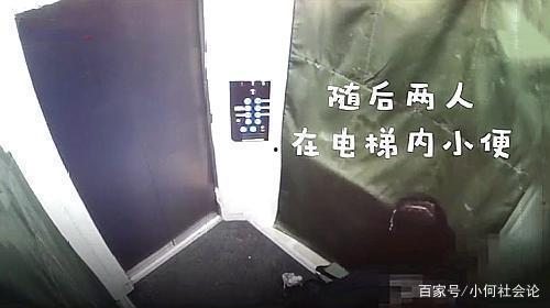 电梯不雅行为视频大全,视频大全警示录