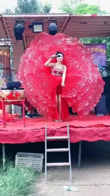 孔雀开屏视频表演,惊艳瞬间,自然之美演绎